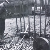Afbeelding1