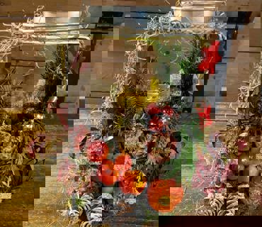 IMG 20231208 WA0023