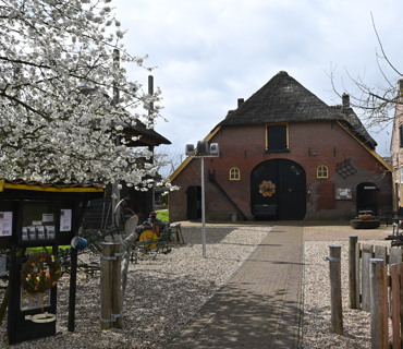 DSC 4850